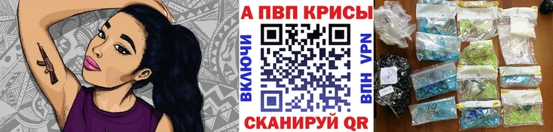 APVP СК  Киреевск 