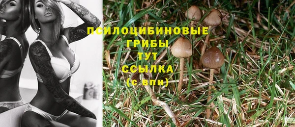 кокс Алексеевка