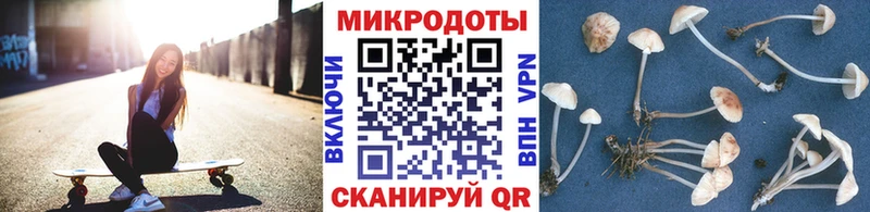 маркетплейс формула  где продают наркотики  Киреевск  Псилоцибиновые грибы Psilocybe 